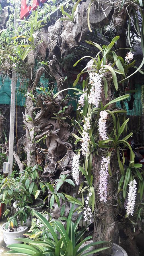 Homestay Lan Rung Nghia Lo Exterior photo