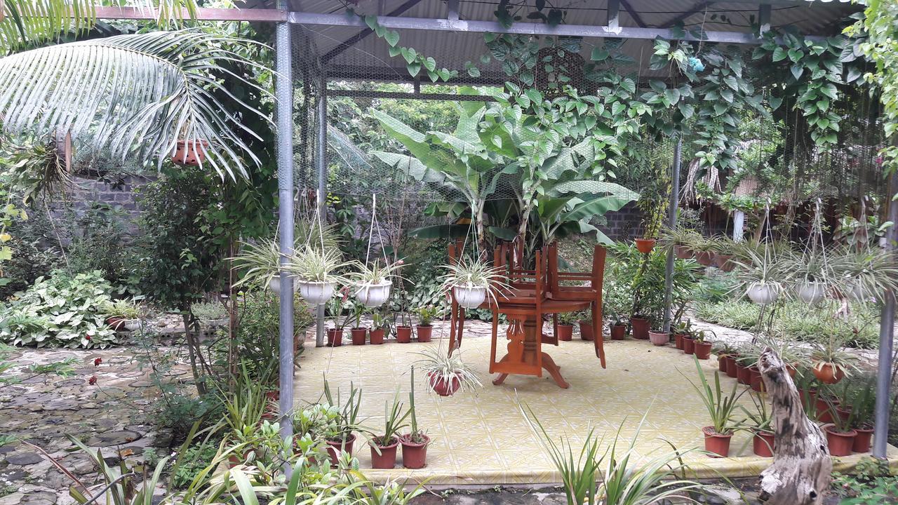 Homestay Lan Rung Nghia Lo Exterior photo